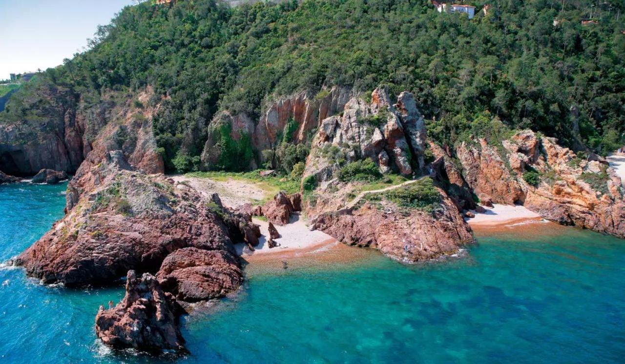 Rez De Jardin Au Calme Et Proche Mer Mandelieu Exterior foto